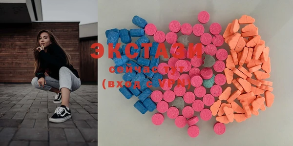 индика Вязьма