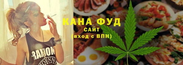 индика Вязьма