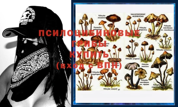 не бодяженный Вяземский
