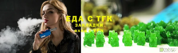 индика Вязьма