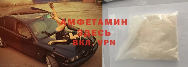 индика Вязьма