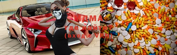 индика Вязьма