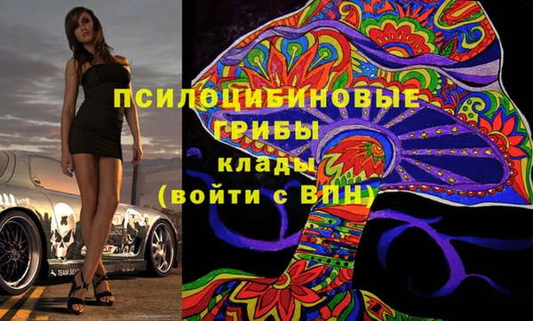 шишки Вязники