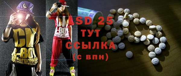индика Вязьма