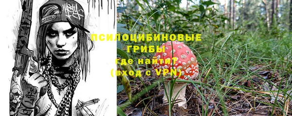 индика Вязьма