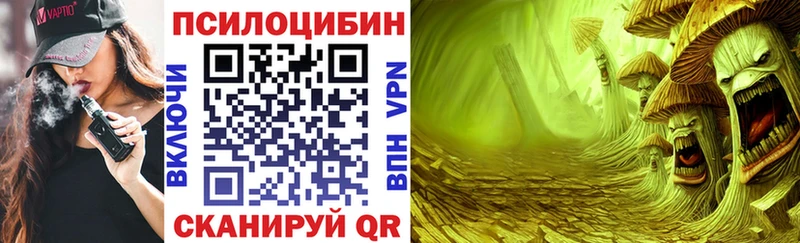 Псилоцибиновые грибы GOLDEN TEACHER  KRAKEN ссылки  Исилькуль 